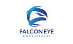 Falcon Eye Consultants