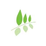 Wadi Group