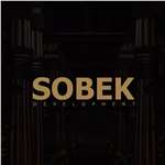 SOBEK development 