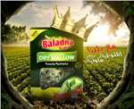 Baladna 