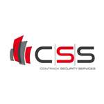CSS security system