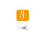 Pupil J
