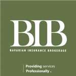 BIB