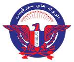 الرواد هاي سيرفيس لنقل الاموال