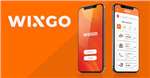 Wingo