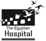 Egyptian Hospital