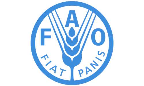 United Nations FAO RNE
