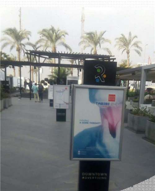 MINI succettes by the cafe entrance 60 x 90 CM