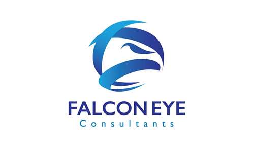 Falcon Eye Consultants