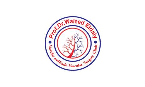 Dr. Waleed Eldaly