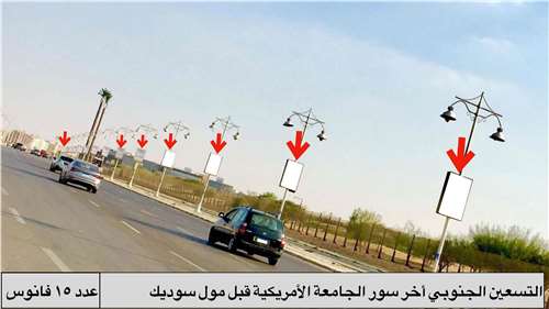 15 sequence lamp posts auc heading to sodic mall south teseen new cairo
