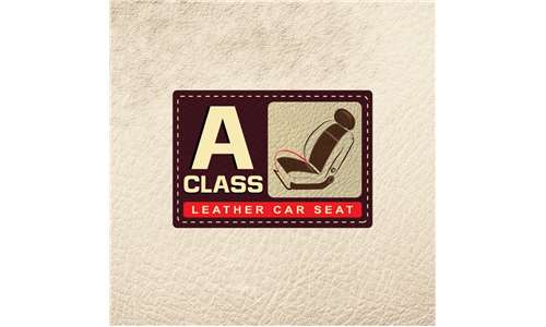 A Class Leather Car Seat