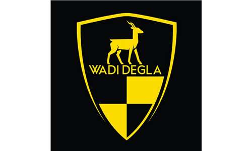 Wadi Degla Clubs