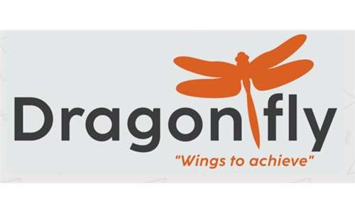 Dragonfly Advertising Agency 
