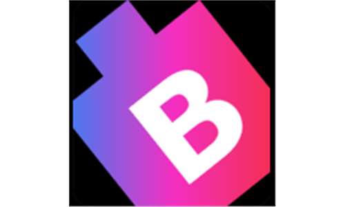 BitsWits