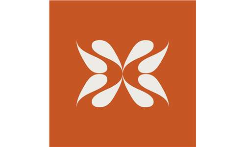Shamans Inc Digital Marketing Agency