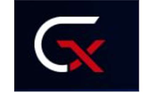 Growth X Ventures LLC