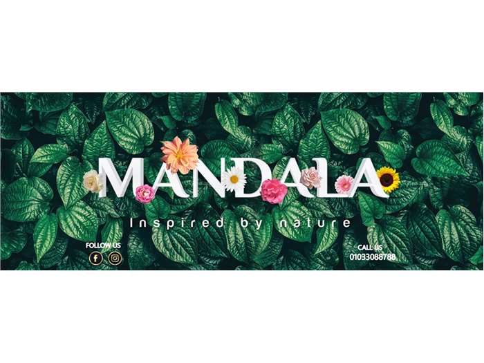 Mandala social media marketing 