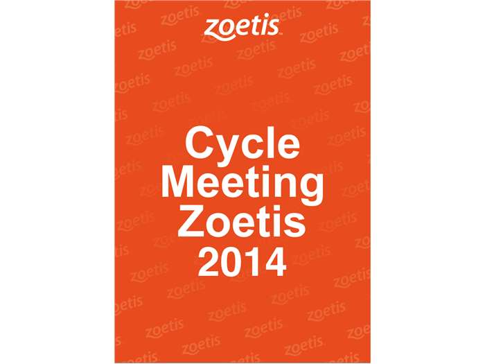 Zoetis Branding