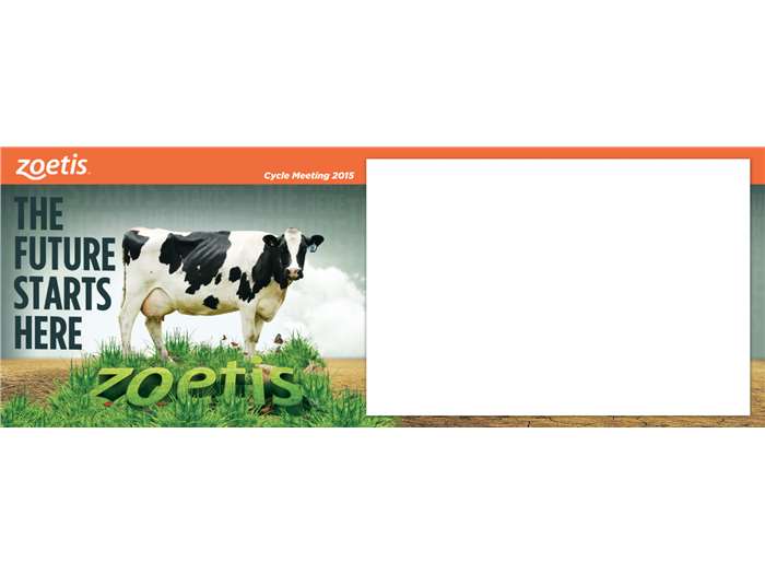 Zoetis Branding