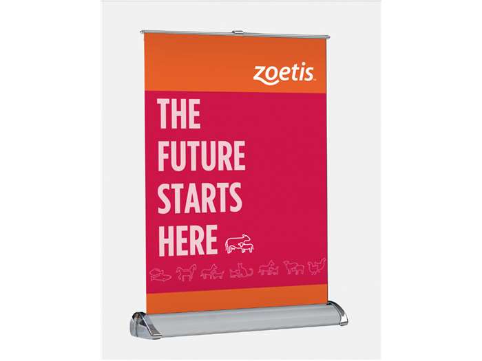 Zoetis Branding