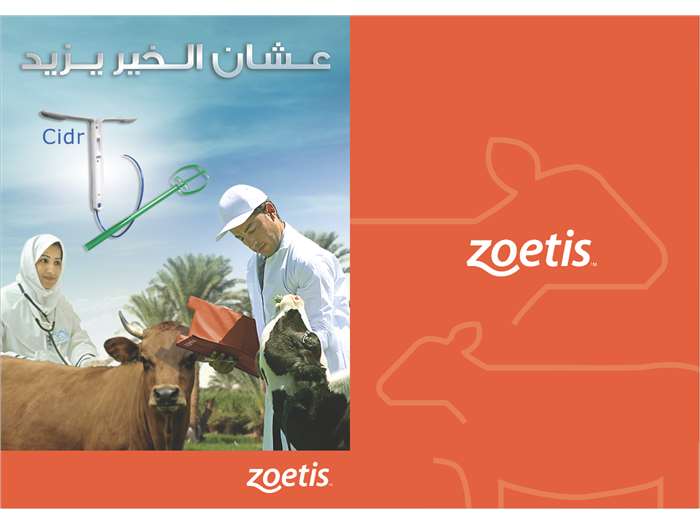 Zoetis Branding