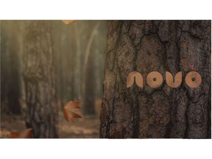 Novo Eats Branding and Positioning 