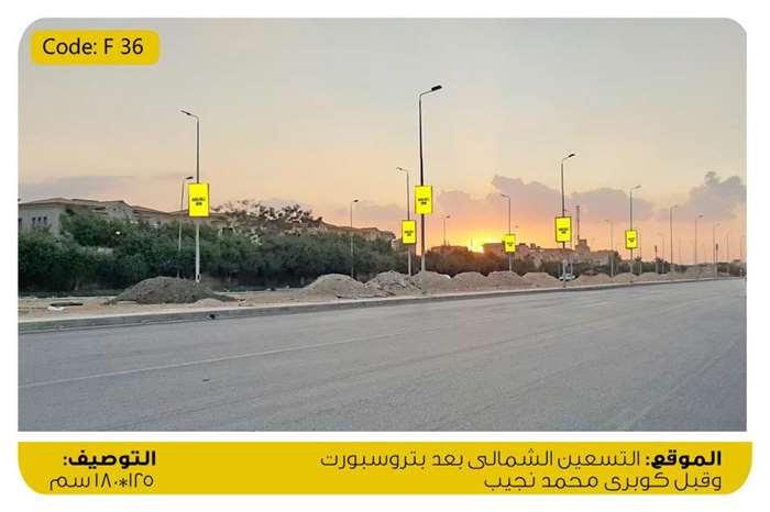 6 sequence lamp posts north teseen after petro sport and before mohamed naguib bridge new cairo