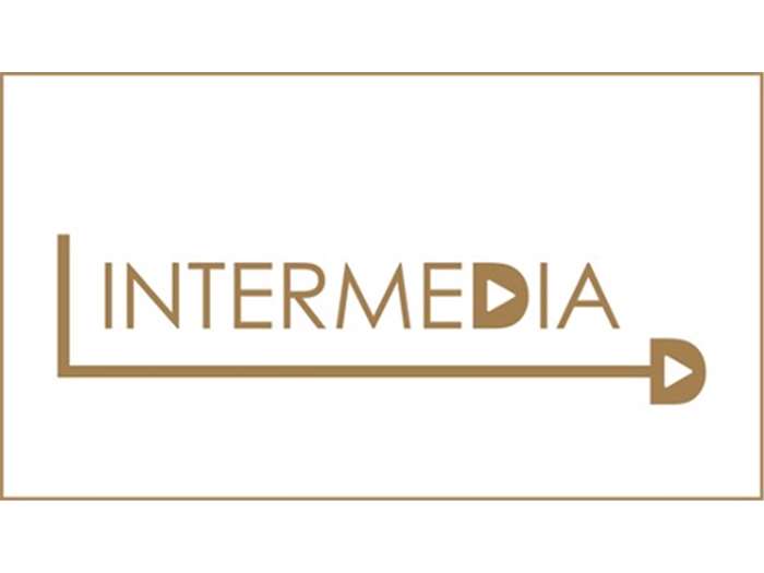 Intermedia Logo Design Project