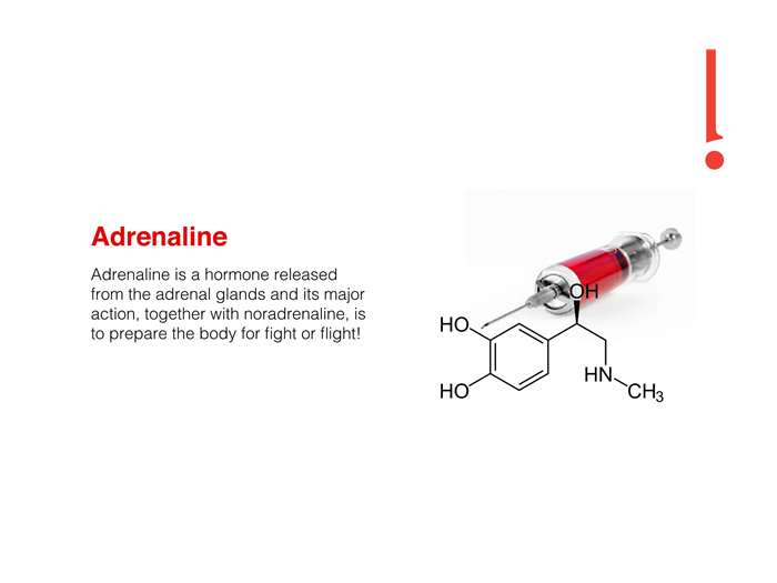Branding for Adrenaline
