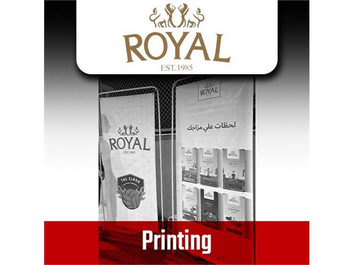 Printing roll up / flyers 