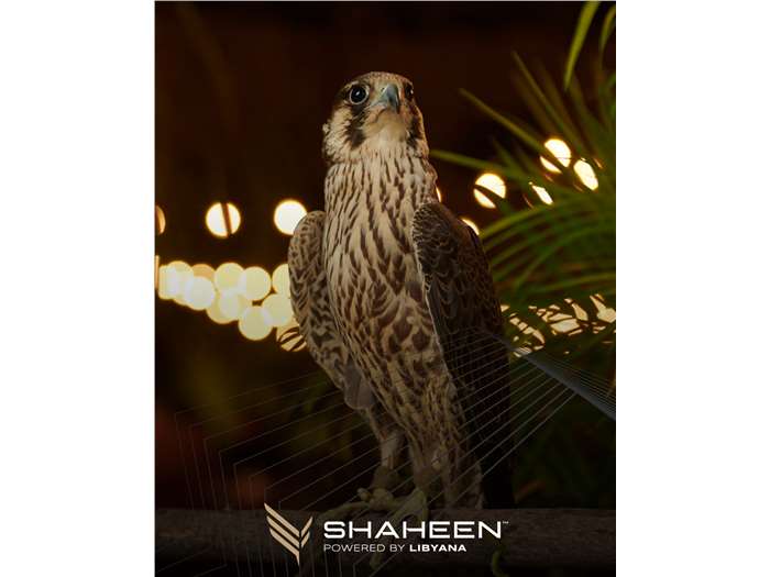 Shaheen by Libyana 