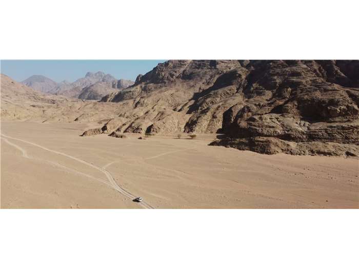 Scorpion Safari Adventure Campaign