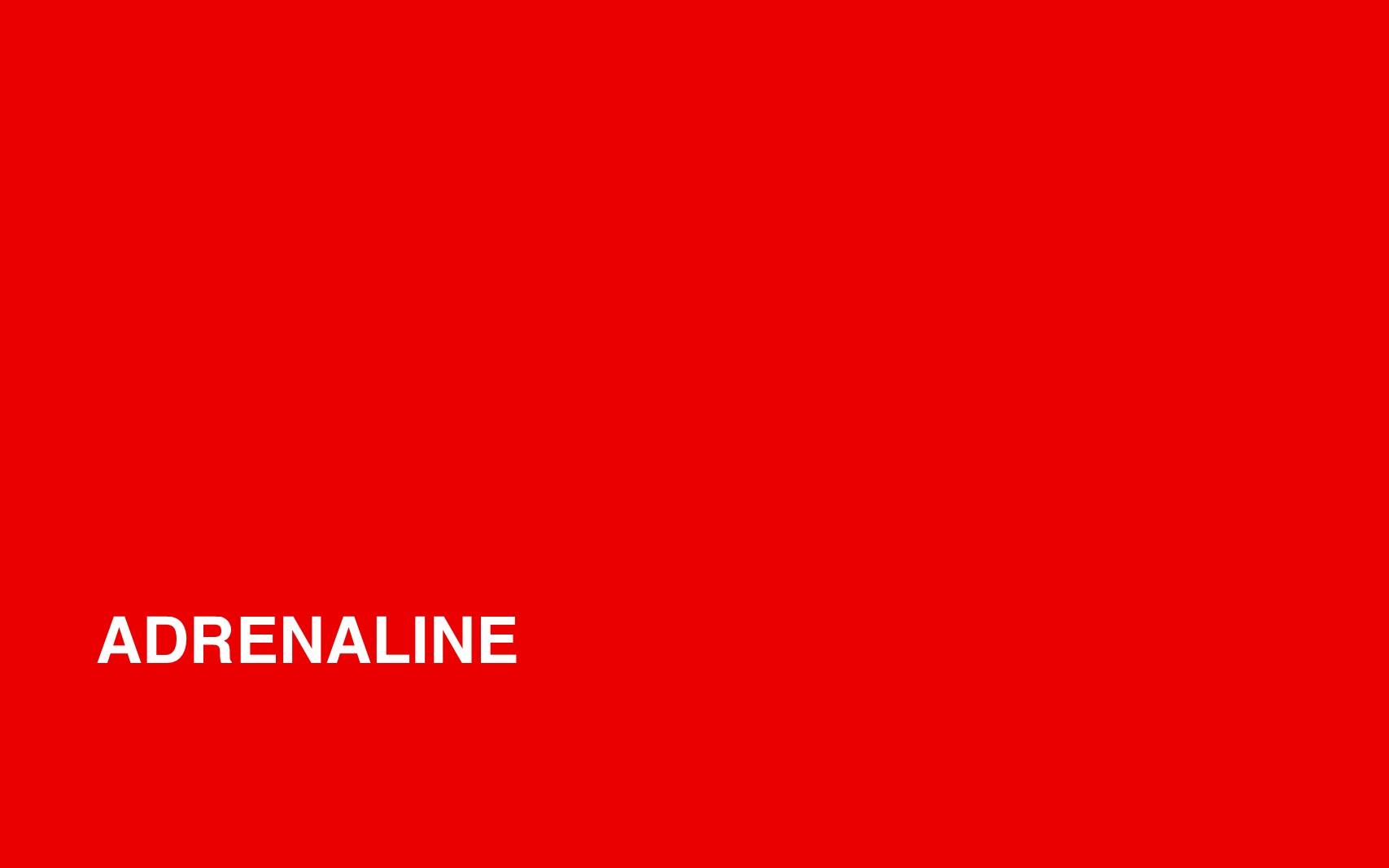 Branding for Adrenaline