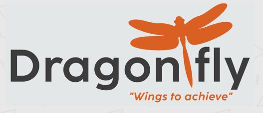 Dragonfly Advertising Agency 