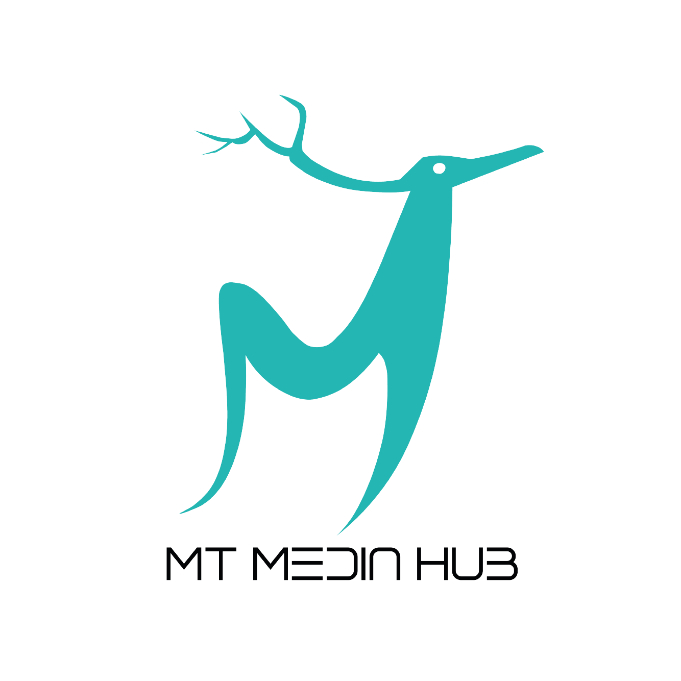 MT MEDIA HUB