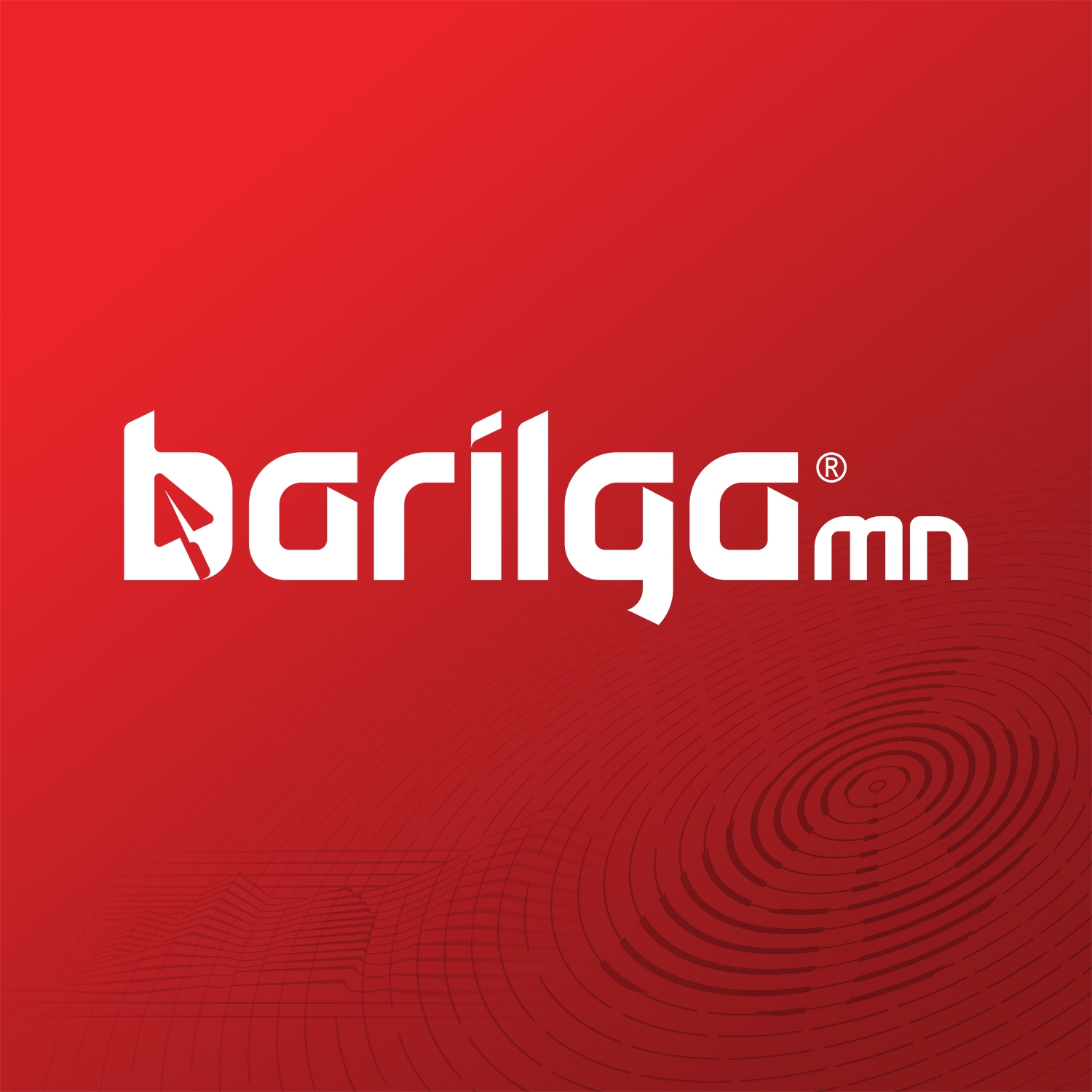 BARILGA MN
