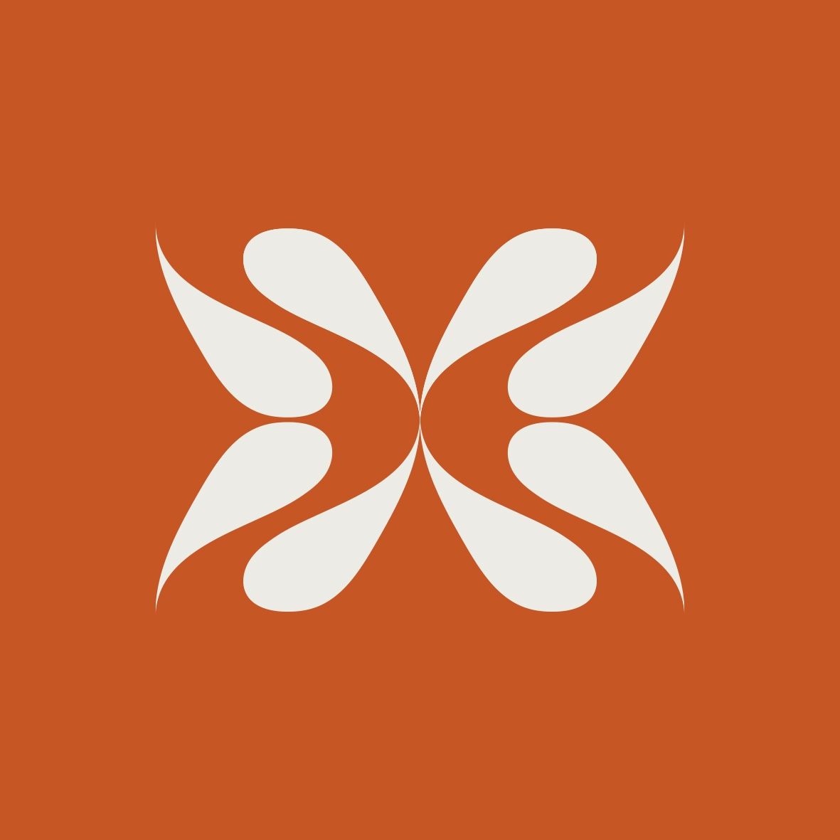 Shamans Inc Digital Marketing Agency